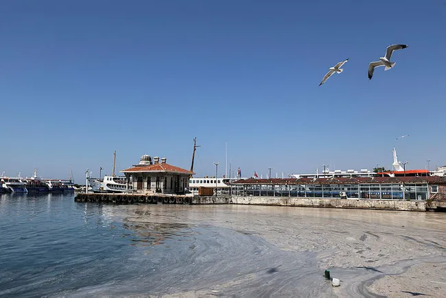 son-dakika-marmara-icin-musilaj-eylem-plani-bakan-kurum-aciklama-yapiyor-1622975263597.jpg Marmara'da müsilaj nasıl temizlenecek? Bakan Kurum'dan önemli açıklamalar - 3