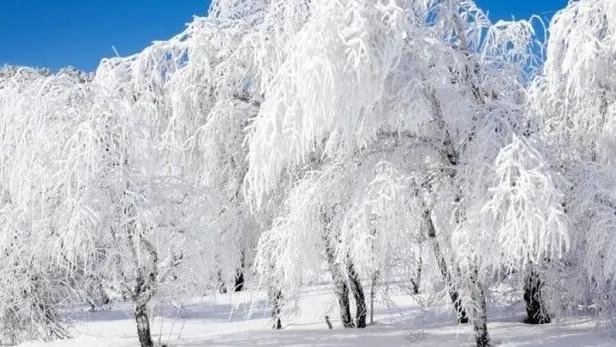 zemheri-basladi-mi-ne-zaman-baslayacak-zemheri-ne-demek-hangi-tarihte-baslayip-biter-iste-2024-zemheri-tarihle-1706163454771.jpg Zemheri başladı mı, ne zaman başlayacak? Zemheri ne demek, hangi tarihte başlayıp, biter? İşte 2024 Zemheri tarihleri... - 1