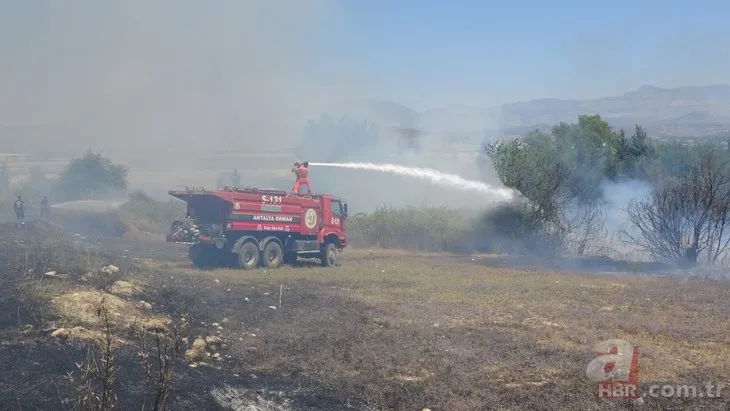 Antalya’da elektrik tellerine çarpan kuş yangına neden oldu! Geriye kömürleşen kuş kaldı