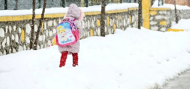 Van Çatak’ta eğitime kar engeli