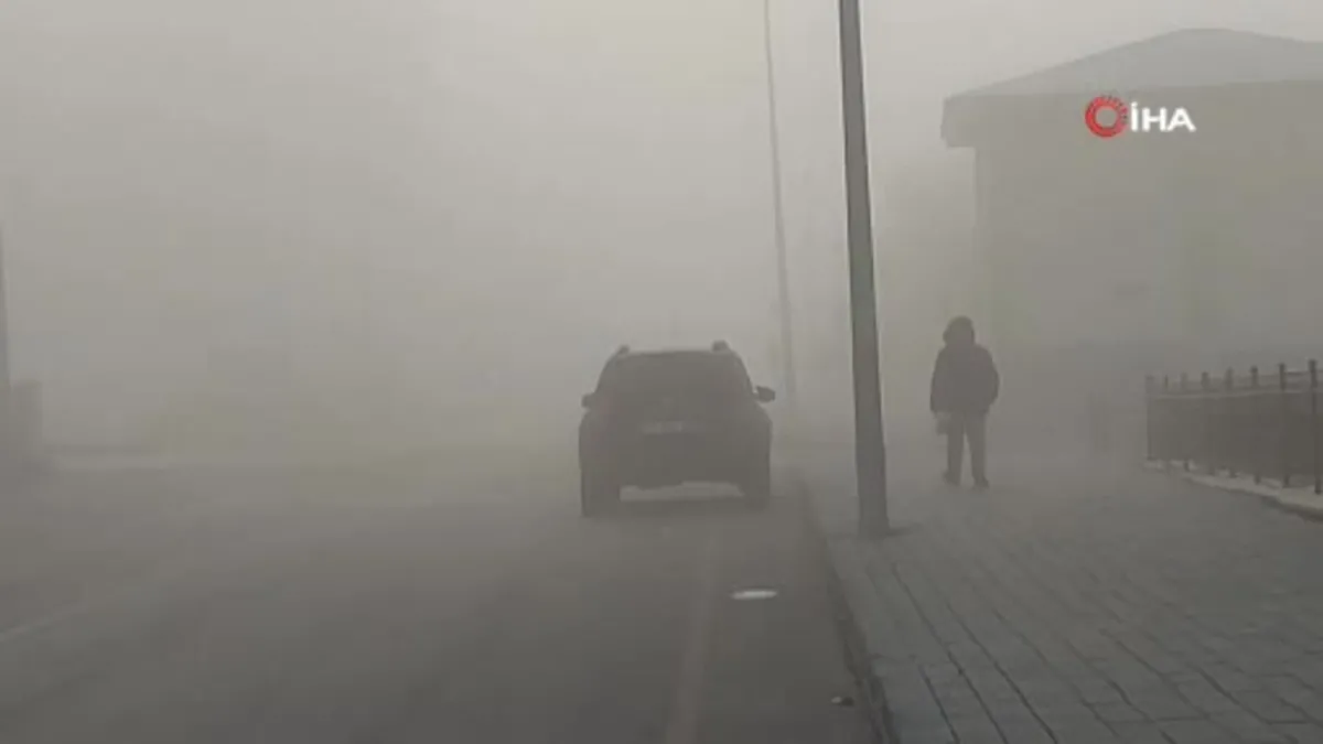 Erzurum buz kesti sis şehri örttü