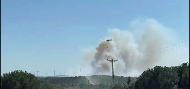 Silivri’de orman yangını