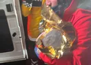 67 saat sonra gelen mucize: 7 aylık bebek...