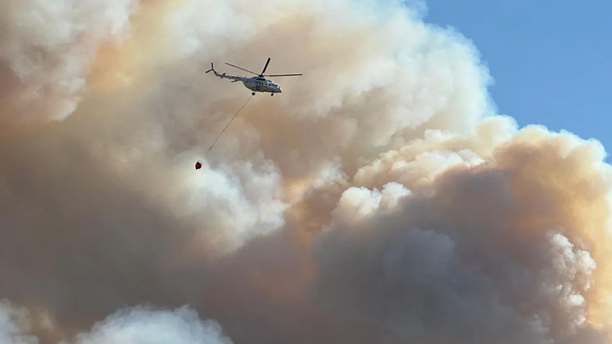 Ege'de orman yangını! İki kentte dumanlar yükseldi