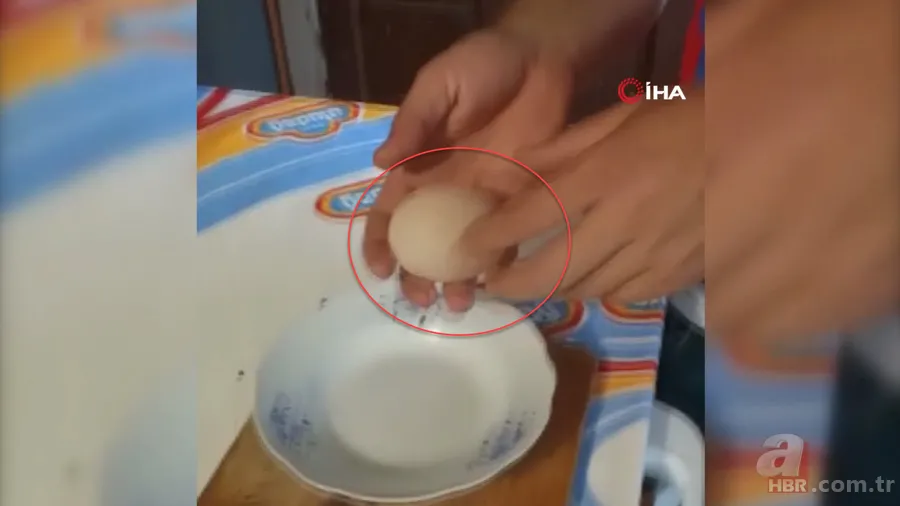 Kümese girdi başına talih kuşu kondu! Tavuğu servet yumurtladı 5