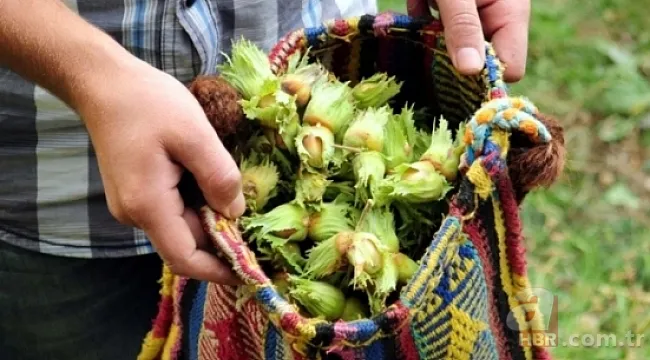 Mevsimlik işçiler kıdem tazminatı alabilir mi? Kıdem tazminatı nasıl hesaplanır? 14
