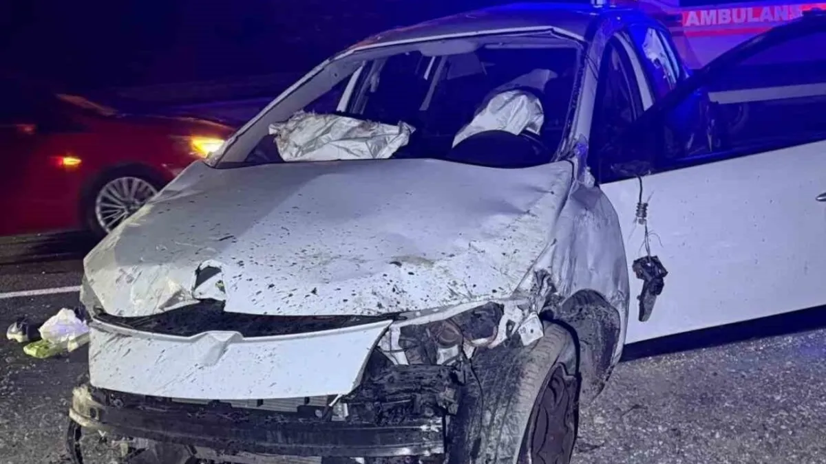 Bozüyük'te çekici devrildi: 1 ölü, 1 yaralı