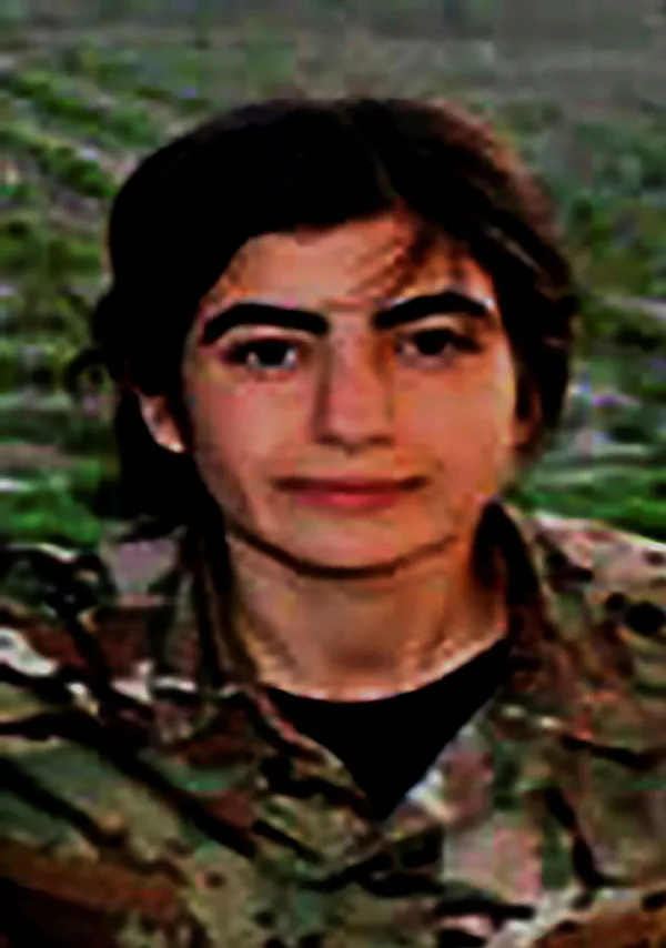 Son dakika: MİT’ten PKK’ya nokta operasyon! Silahlı kadın sorumlusu Hicran İcuz etkisiz hale getirildi