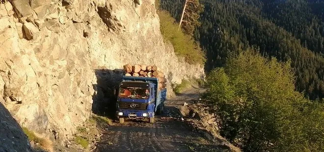 Artvin’de tomruk yüklü kamyonları tehlikeli dağ yollarında kullanıyorlar