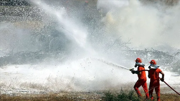 OGM işçi alımı başvuruları başladı mı? Orman Genel Müdürlüğü mevsimlik işçi alımı şartları neler? Kadro dağılımı...