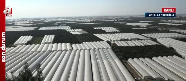 Türkiye Yüzyılı’nda tarım, ormancılık ve hayvancılık! A Haber ekipleri sahada