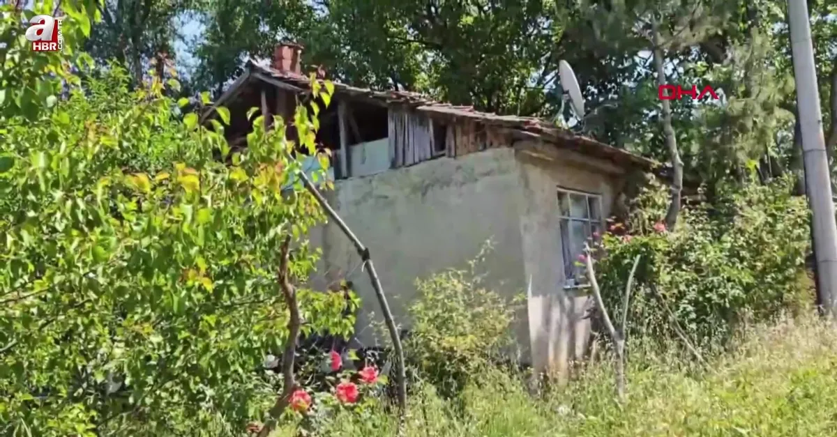 Üzüm yaprağı toplarken çatıdan düştü