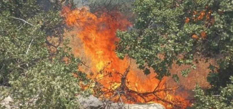Muğla ve Bursa'da korkutan orman yangını