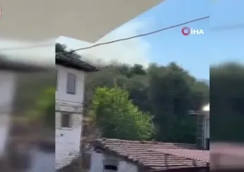 Aydın Bozdoğan'da orman yangını