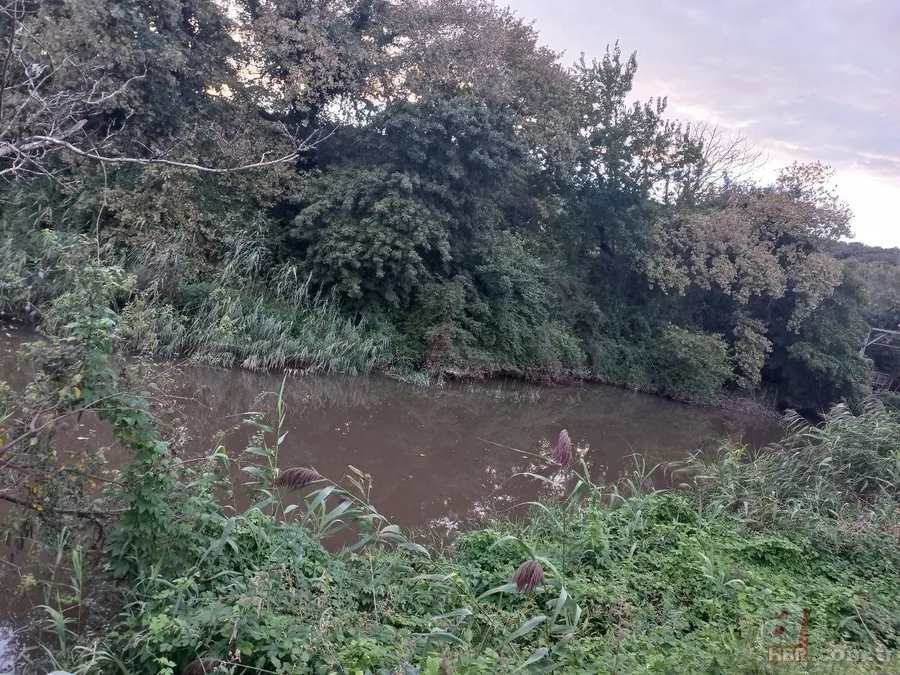 Cennet Riva ölüyor! 27 aydır Ekrem İmamoğlu'nun keyfini bekliyor 6