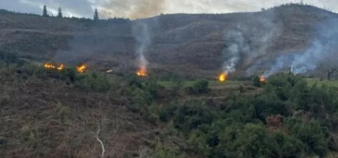 Kahramanmaraş’da ormanı 17 farklı noktadan ateşe veren şüpheli tutuklandı
