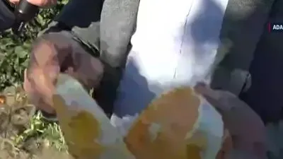 Narenciye deposu Kozan’da portakal üretimi!