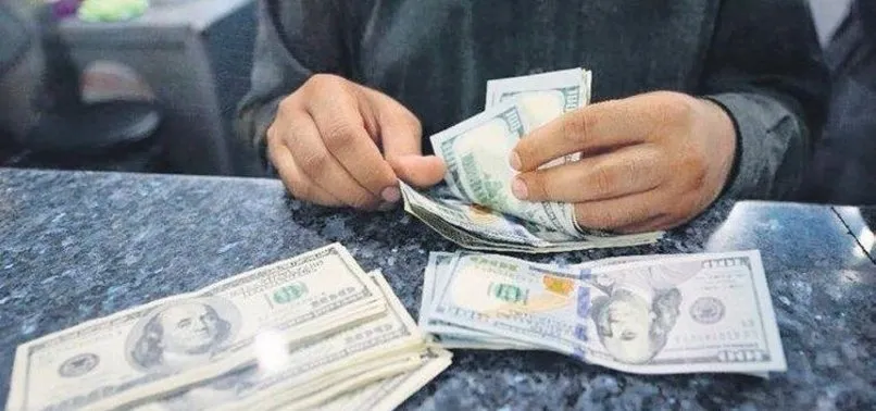 Tarihin en büyük döviz satışlarından biri!1 günde tam 6.1 milyar dolar TL'ye döndü