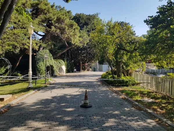 CHP’li İBB kaderine terk etti: Yıldız Korusu can çekişiyor