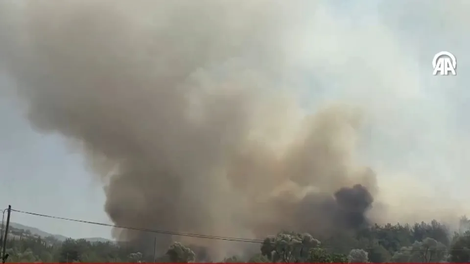 İzmir Bornova’da orman yangını