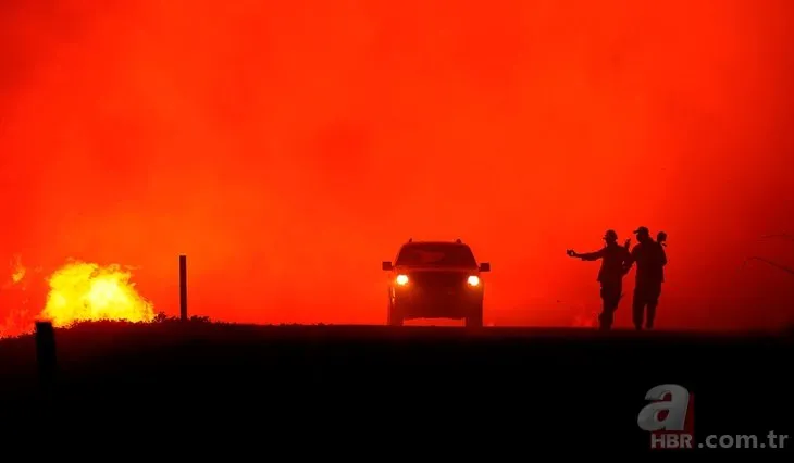 California’da orman yangınları devam ediyor