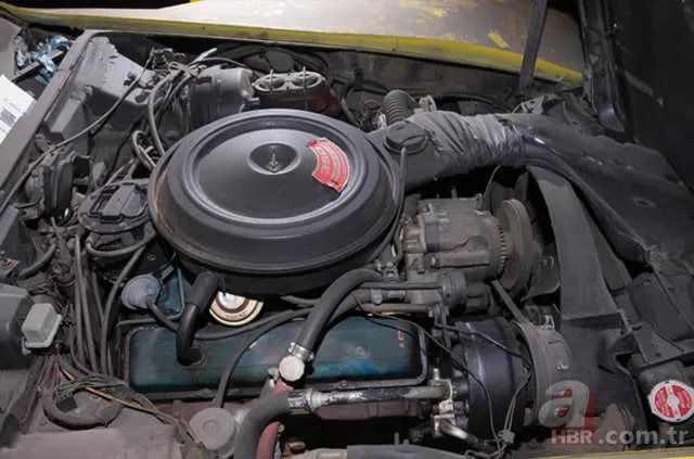 Corvette marka arabalar çürümeye terkedilmiş halde bulundu 🚗 11