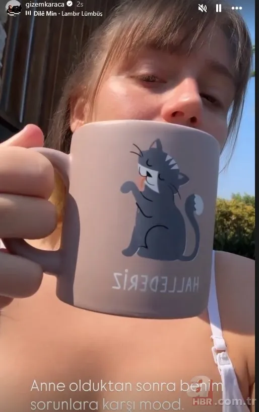 Leyla Yaz'ın 40'ı çıktı: Gizem Karaca minik kızıyla poz verdi 6