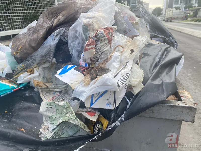 Maltepe çöplüğü: İşçiler greve gitti sokaklar pislik içinde! Uzman isimden korkutan koronavirüs uyarısı 6