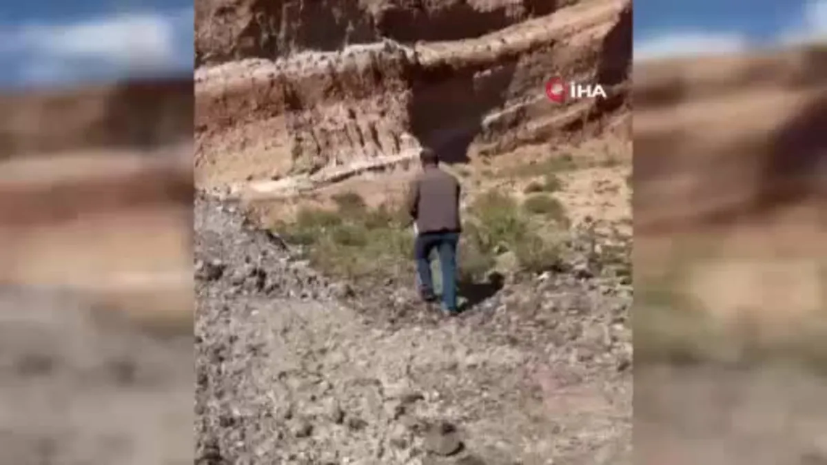 Ağrı Patnos’ta zehirli yılan paniği