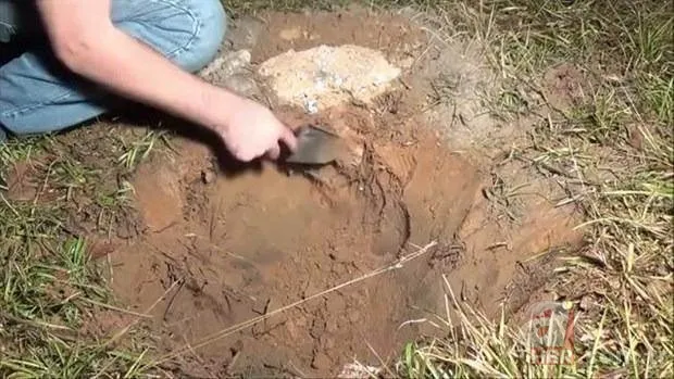 Kırmızı karıncalardan batmayan sal! Haftalarca yüzebiliyorlar 22