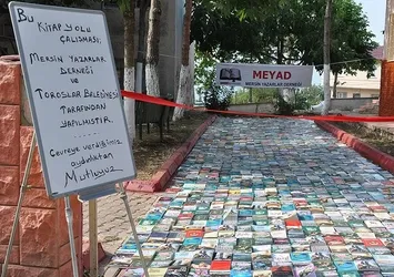 Yoldan kitap topladılar