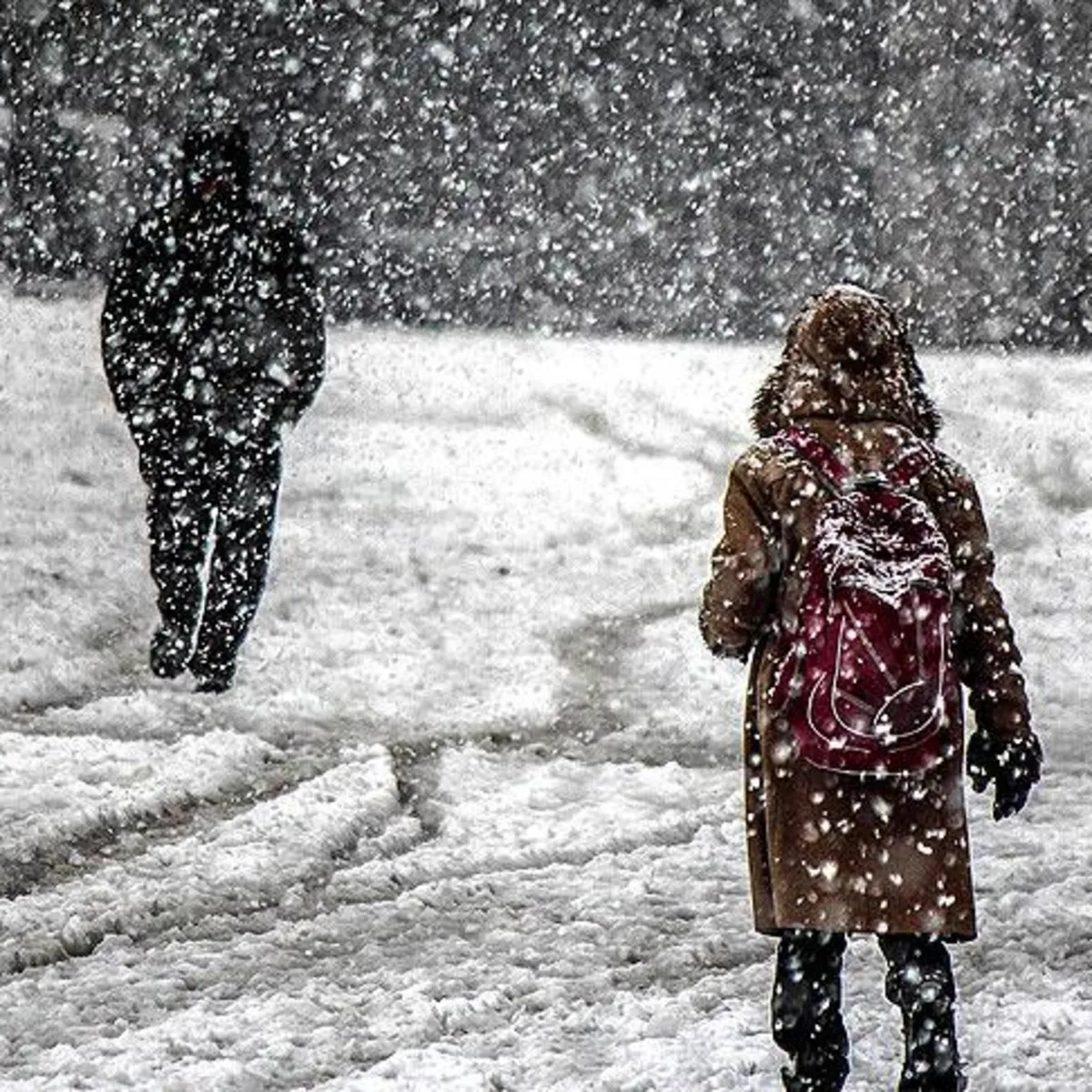Yarıyıl tatilinin ardından eğitime kar engeli! Hangi illerde okullar tatil edildi? | 2 Şubat 2026 okulların tatil olduğu iller listesi