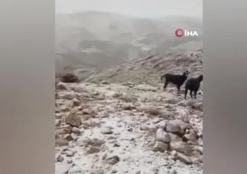 Mersin’in Anamur ilçesinin yüksek kesimlerine mevsimin ilk karı düştü