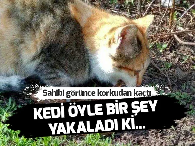 Günün en çok paylaÅılan kareleri - 19 Haziran