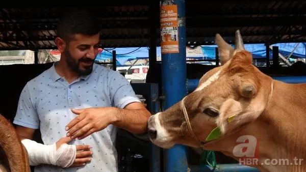 Kurban Bayramı'na saatler kala hareketli dakikalar! Kiminin kolu çatladı, kiminin boğası kaçtı 18