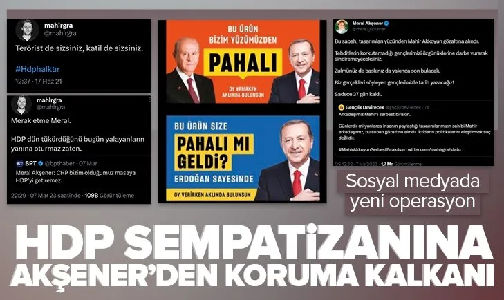 Erdoğan düşmanlığı yapan grafiker HDP sempatizanı çıktı