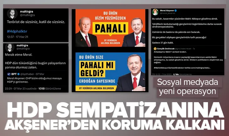 Erdoğan düşmanlığı yapan grafiker HDP sempatizanı çıktı