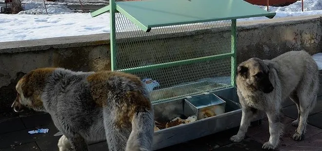 MASAK raporu ’mama lobisi’nin rantını ortaya koydu: Yılda 500 milyar TL