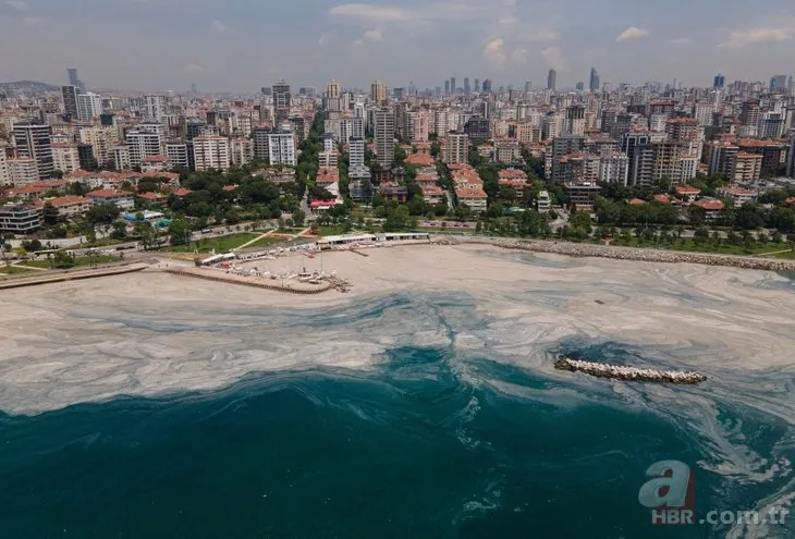 Marmara Denizi’nin güney kıyılarındaki araştırma tamamlandı! Tek sorun müsilaj değil!