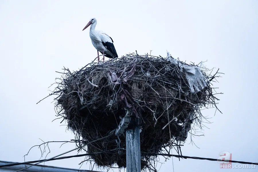 Yaren Leylek 15. yılında yine Adem Amca’nın kayığında 13