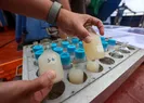 ODTÜden müsilaj sorunu için inceleme