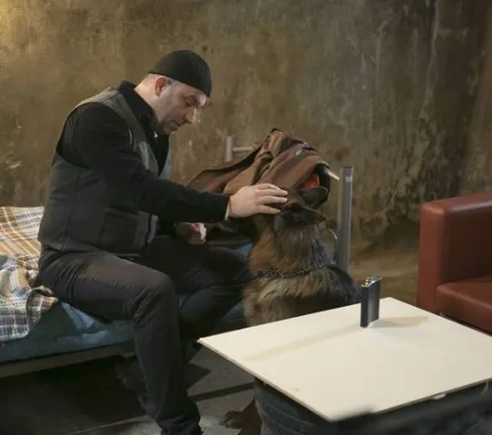 Arka Sokaklar 509.son bölüm izle: Mesut’tan duygulandıran mektup! Arka Sokaklar 510.yeni bölüm fragmanı ekranda mı?