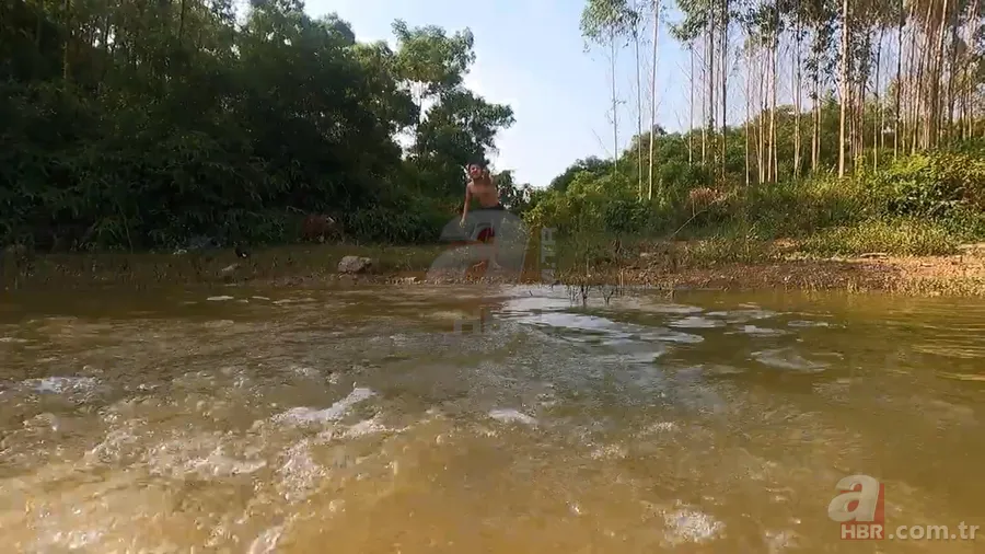 Dev anakonda yılanı nehirde yüzen gençlere saldırdı! Korku dolu anlar görüntülendi 14