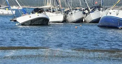 Son dakika: İzmir'de korkutan görüntü! Deniz suları çekildi...