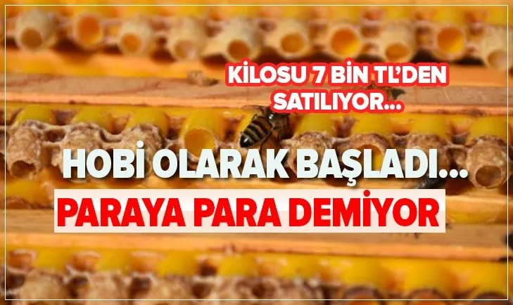 kilosu 7 bin tl bu is icin meslegini