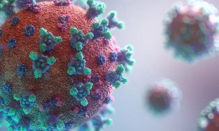 yeni-virus-alarmi-o-ulkede-bas-gosterdi-covid-19dan-daha-tehlikeli-1721583679134.jpg Hindistan'da Nipah virüsü nedeniyle 1 kişi hayatını kaybetti.