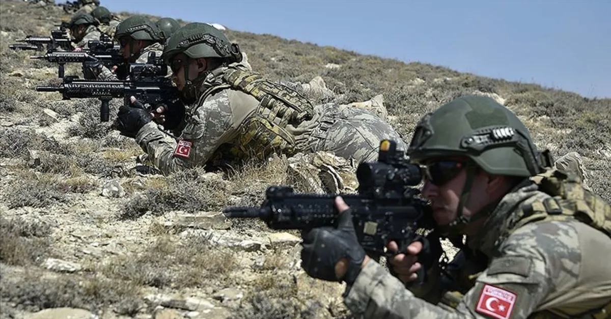 Bordo Bereliler Azerbaycan'da! Gövde gösterisi
