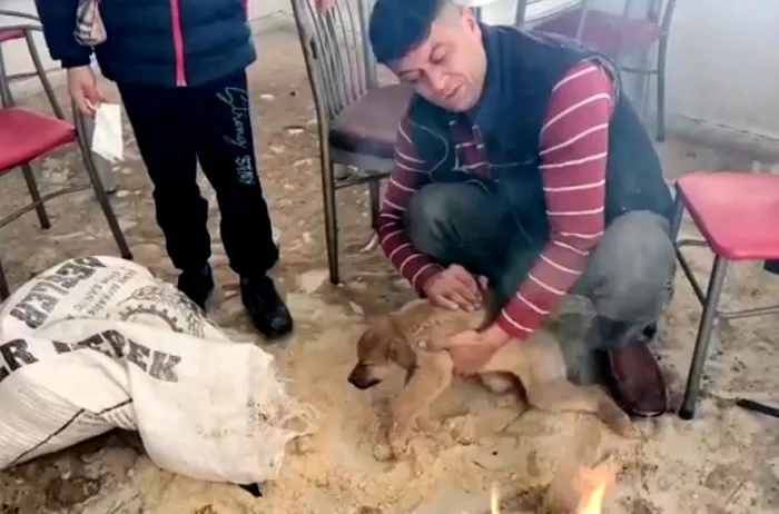 Görüntüler Osmaniye'den! İnsanlık ölmemiş dedirten davranış - 1
