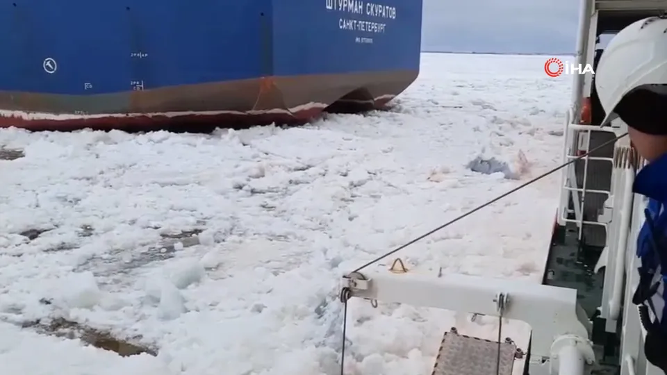 Fotoğraftaki ayrıntıya dikkat! 1 hafta sonra canlı bulundu
