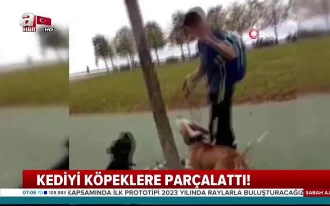 istanbul maltepe de insanlik disi olay